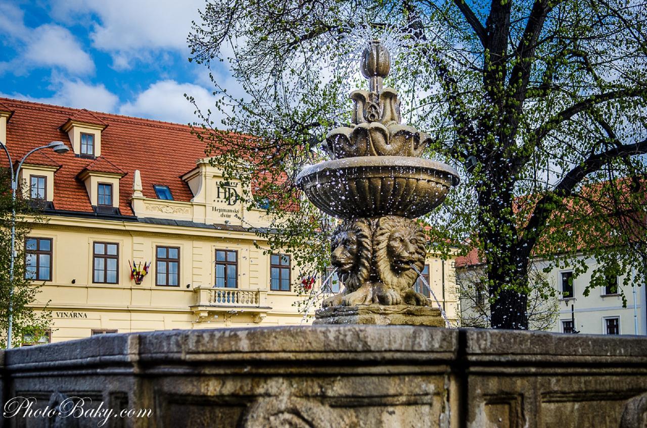 Hejtmansky Dvur Hotell Slaný Exteriör bild